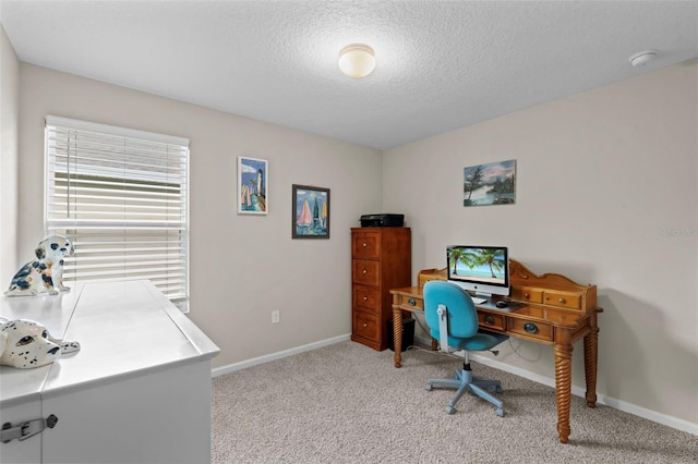 324 Palace Dr, Saint Augustine, FL 32084 - home office with light colored carpet and a textured ceiling