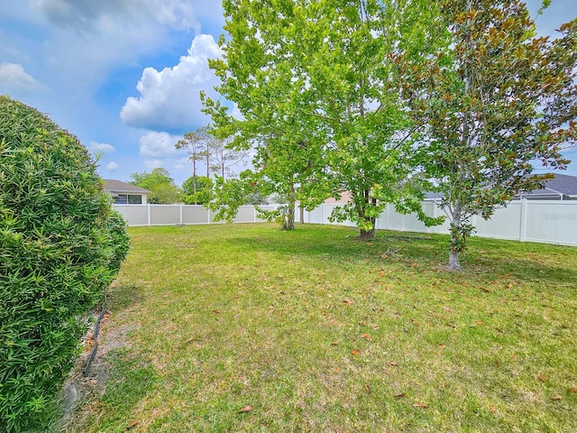 18 Wheatfield Dr, Palm Coast, FL 32164 - view of yard
