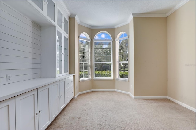 4484 Gray Hawk St, Orange Park, FL 32065 - unfurnished dining area with a textured ceiling, ornamental molding, baseboards, and light colored carpet