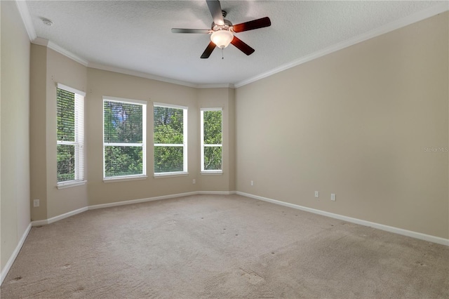 4484 Gray Hawk St, Orange Park, FL 32065 - carpeted empty room with a textured ceiling, crown molding, ceiling fan, and a wealth of natural light