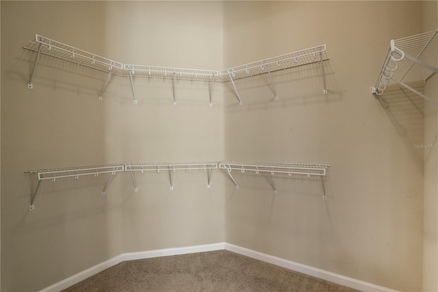 4484 Gray Hawk St, Orange Park, FL 32065 - walk in closet featuring carpet flooring