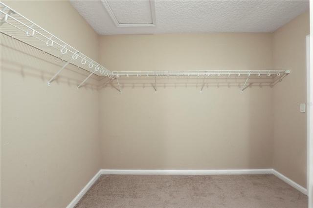 4484 Gray Hawk St, Orange Park, FL 32065 - spacious closet featuring carpet flooring