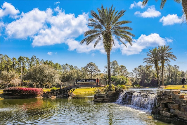 4484 Gray Hawk St, Orange Park, FL 32065 - property view of water