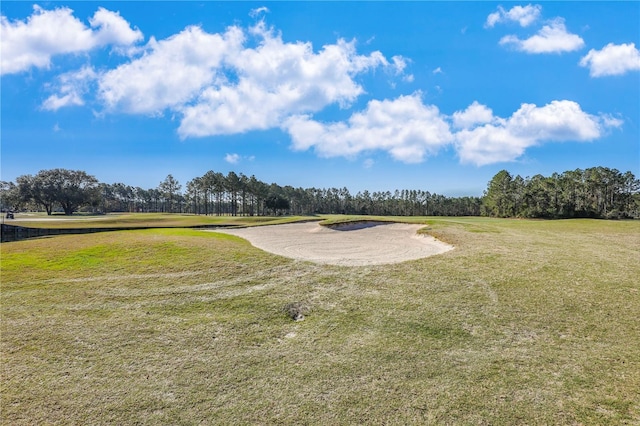 4484 Gray Hawk St, Orange Park, FL 32065 - view of yard