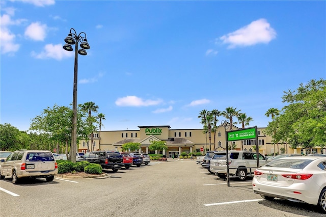 4484 Gray Hawk St, Orange Park, FL 32065 - view of uncovered parking lot
