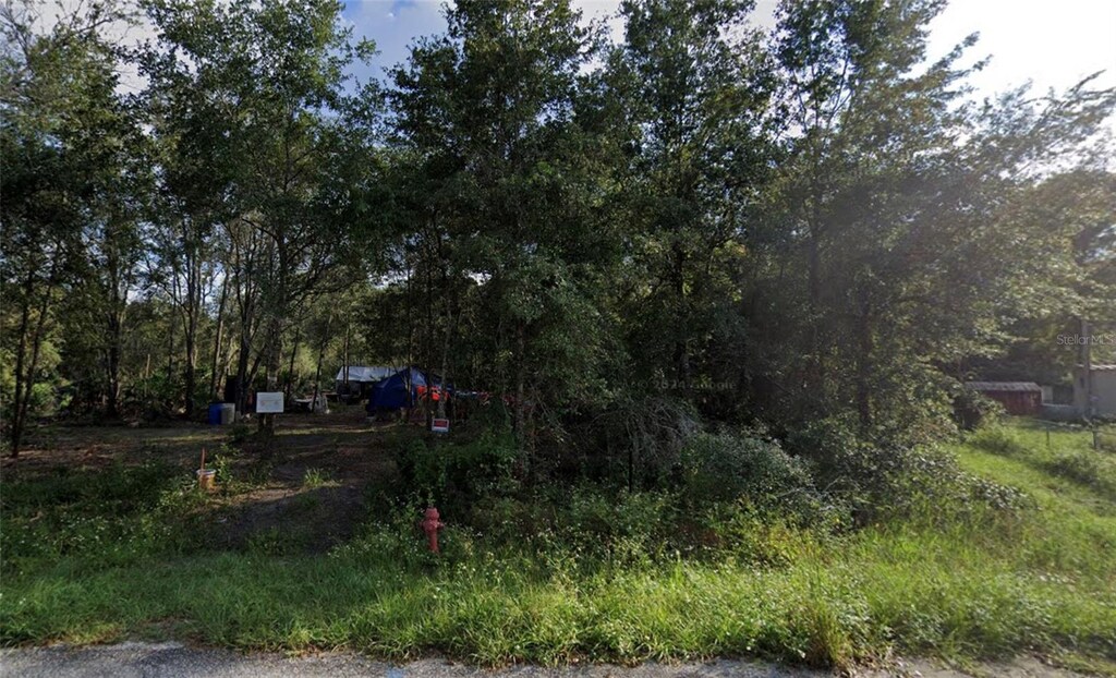 121 Bream St, Palatka, FL 32177 - photo 1