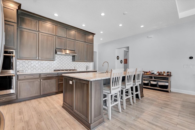 kitchen featuring tasteful backsplash, light wood-type flooring, recessed lighting, under cabinet range hood, and a kitchen island with sink