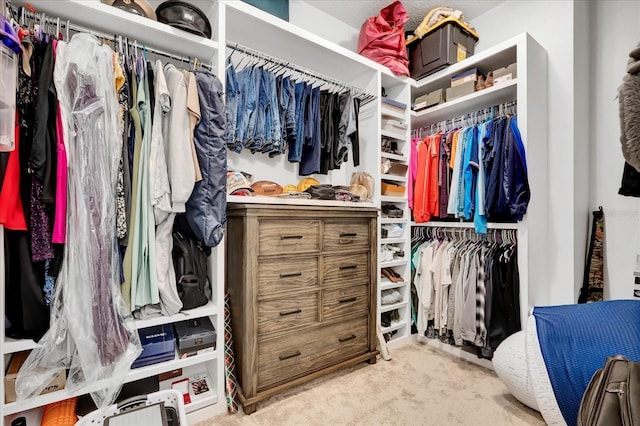 walk in closet with carpet floors