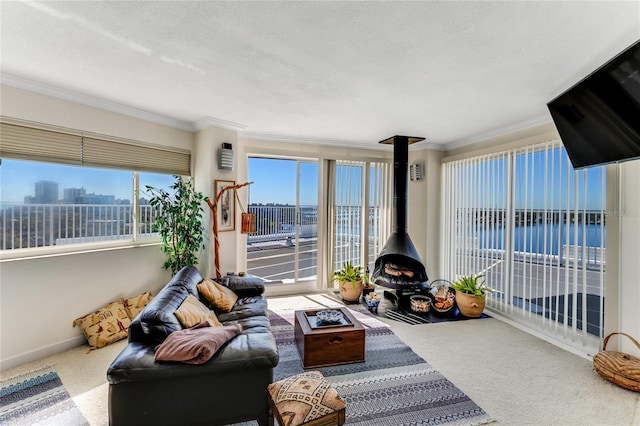 925 N Halifax Ave Unit 1105, Daytona Beach, FL 32118 - living area featuring a wood stove, carpet flooring, ornamental molding, and a view of city