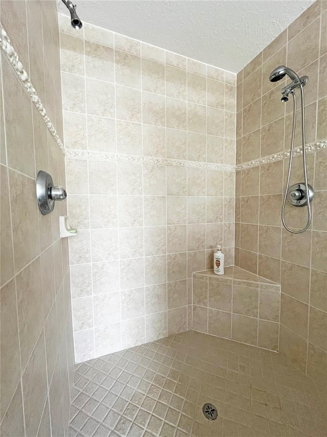 161 Frontier Dr, Palm Coast, FL 32137 - bathroom with tiled shower