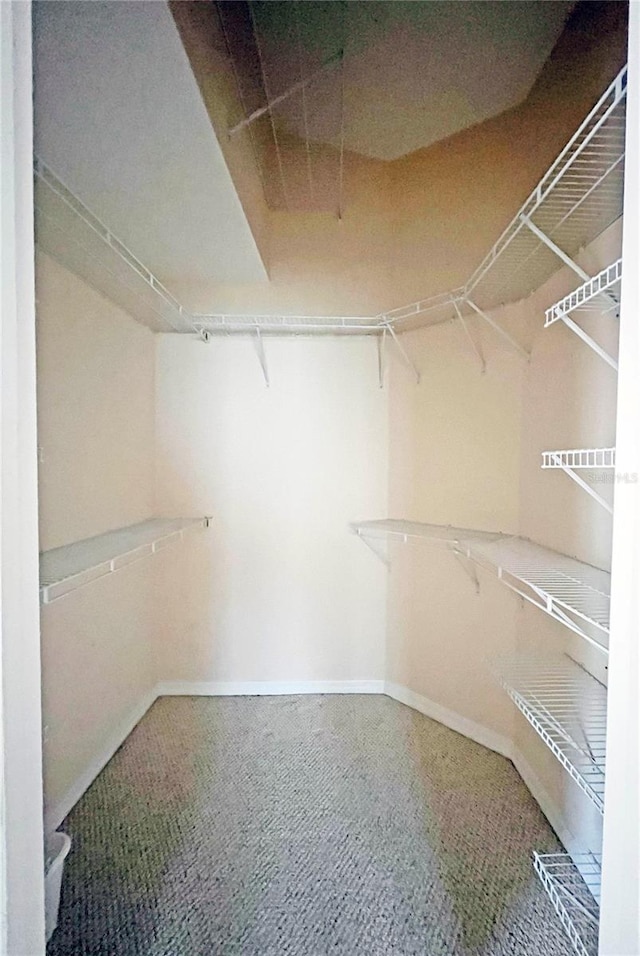 161 Frontier Dr, Palm Coast, FL 32137 - spacious closet with carpet floors