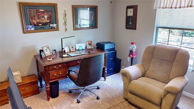 73 Royal Oak Dr, Palm Coast, FL 32164 - office area featuring carpet
