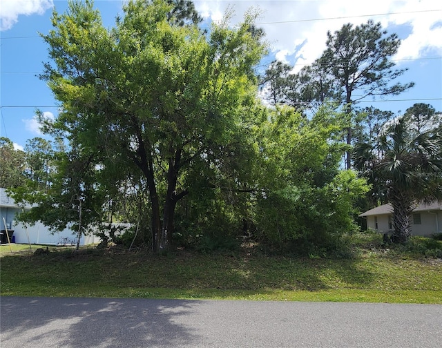 19 Rymer Ln, Palm Coast, FL 32164