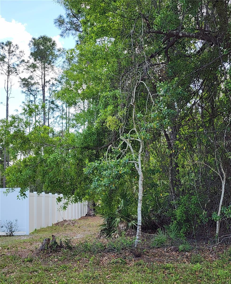 19 Rymer Ln, Palm Coast, FL 32164