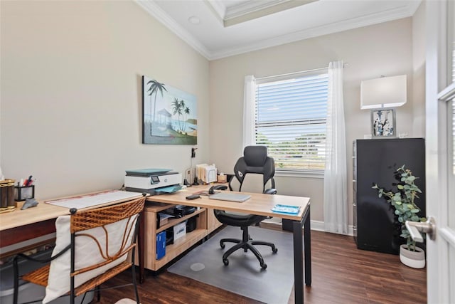 7 Menorca Way, Palm Coast, FL 32137 - home office featuring dark wood-type flooring, baseboards, and crown molding