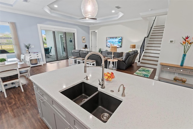 7 Menorca Way, Palm Coast, FL 32137 - kitchen featuring dark wood-type flooring, a sink, a tray ceiling, and open floor plan