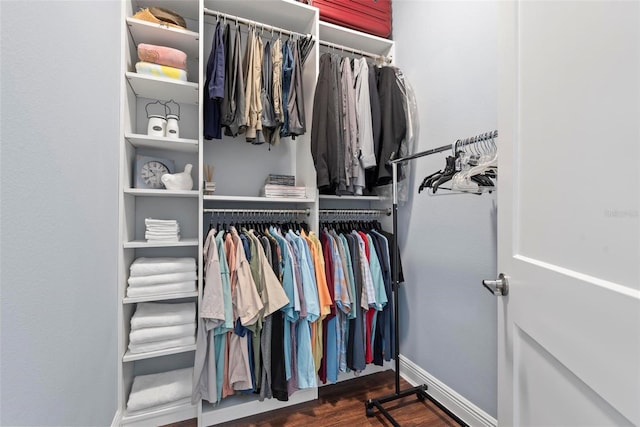 7 Menorca Way, Palm Coast, FL 32137 - spacious closet with wood finished floors