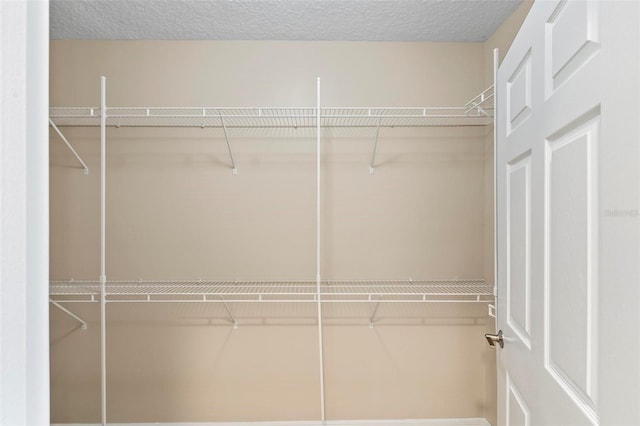 500 Canopy Walk Ln Unit 515, Palm Coast, FL 32137 - view of walk in closet