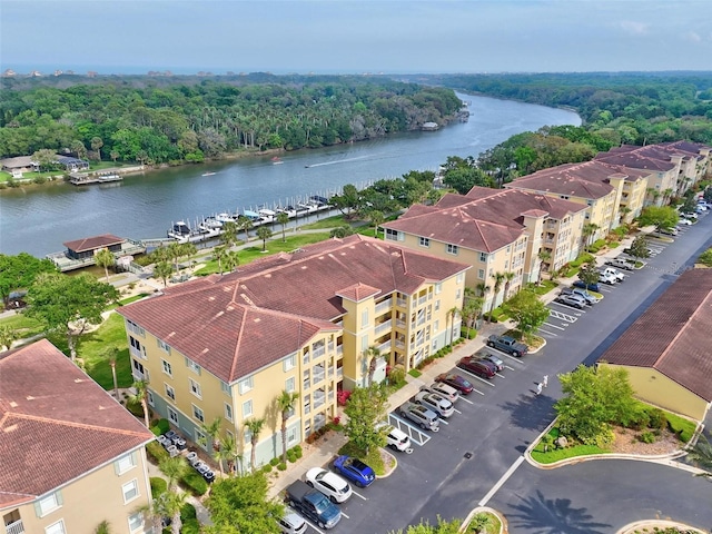 500 Canopy Walk Ln Unit 515, Palm Coast, FL 32137 - drone / aerial view of a large body of water and a heavily wooded area
