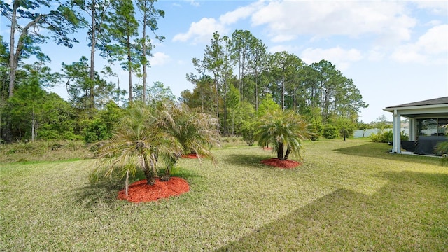 314 Red Barn Rd, Saint Augustine, FL 32092 - view of yard