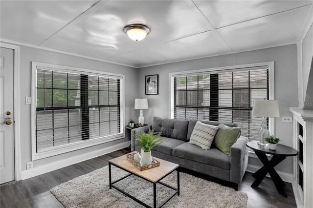 living area featuring crown molding, baseboards, and wood finished floors