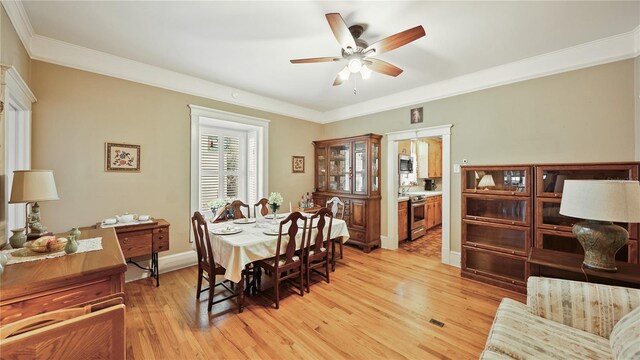 23 Sevilla St, Saint Augustine, FL 32080 - photo 12