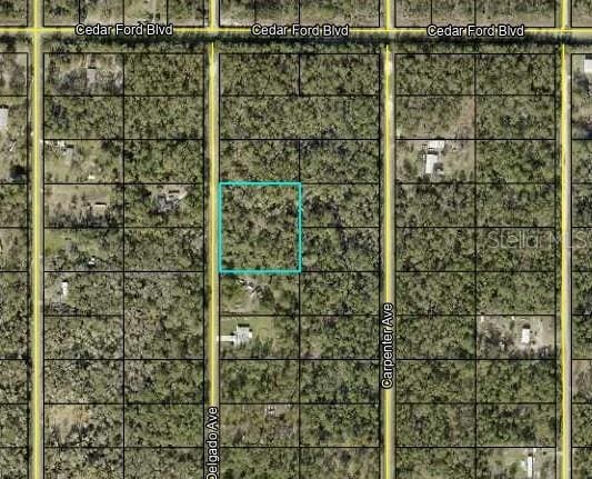 10430 Delgado Ave, Hastings, FL 32145