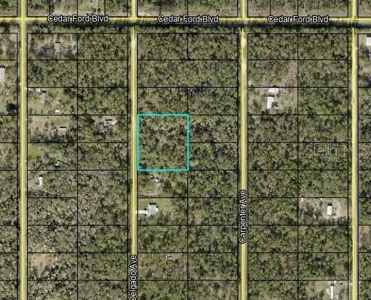 10430 Delgado Ave, Hastings, FL 32145