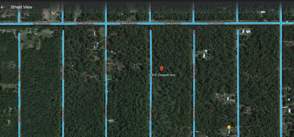 10430 Delgado Ave, Hastings, FL 32145