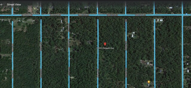 10430 Delgado Ave, Hastings, FL 32145