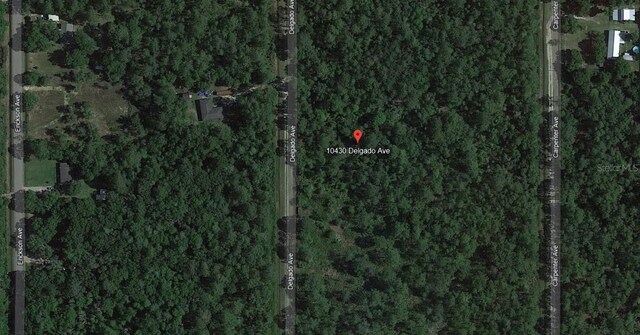 10430 Delgado Ave, Hastings, FL 32145
