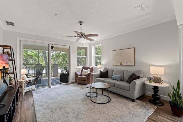 45 Riverview Bnd S Unit 1926, Palm Coast, FL 32137 - living area with crown molding, ceiling fan, plenty of natural light, wood finished floors, and a textured ceiling