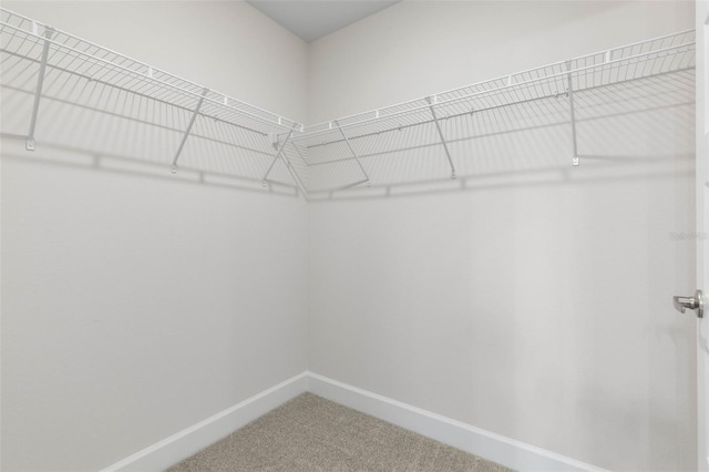 12 Squanto Pl, Palm Coast, FL 32164 - spacious closet featuring carpet floors