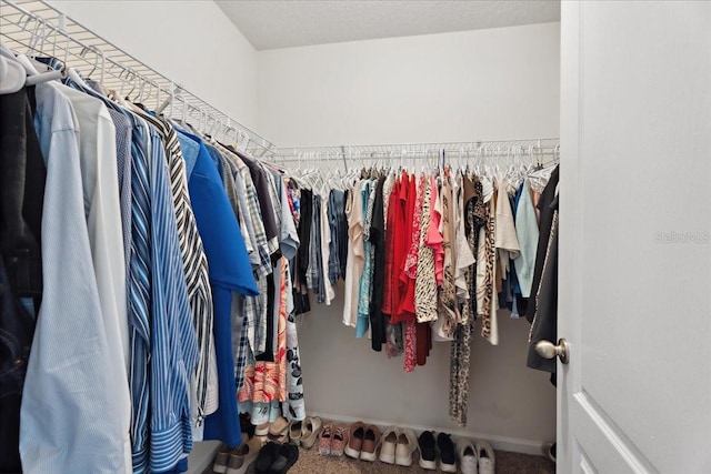 619 Grand Reserve Dr, Bunnell, FL 32110 - spacious closet featuring carpet floors