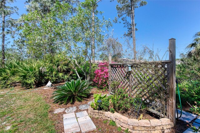 30 Red Birch Ln, Palm Coast, FL 32164 - photo 46