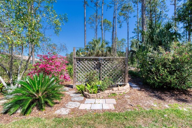 30 Red Birch Ln, Palm Coast, FL 32164 - photo 47