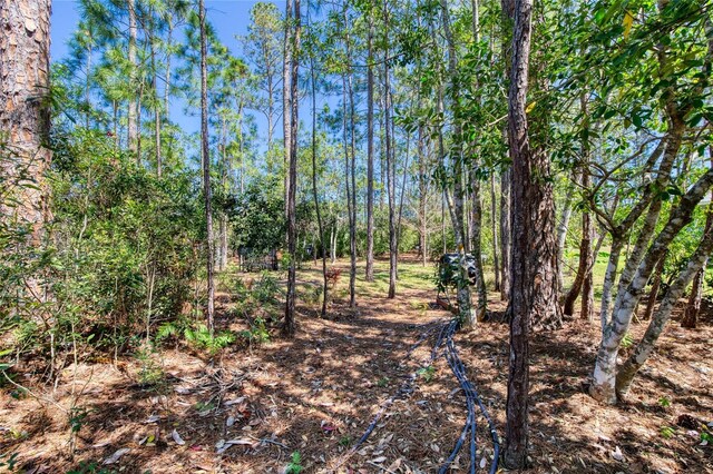 30 Red Birch Ln, Palm Coast, FL 32164 - photo 53