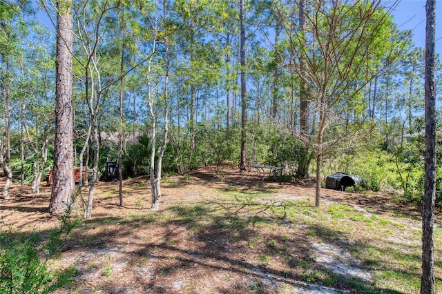 30 Red Birch Ln, Palm Coast, FL 32164 - photo 55