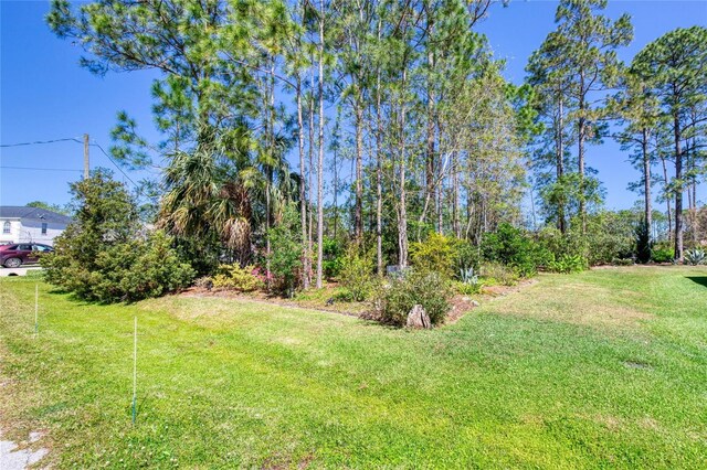 30 Red Birch Ln, Palm Coast, FL 32164 - photo 57
