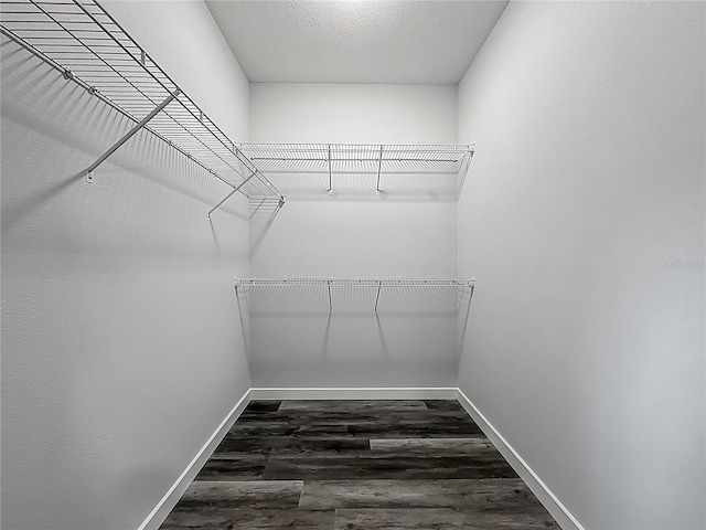 10625 Amos Ave, Hastings, FL 32145 - walk in closet with wood finished floors