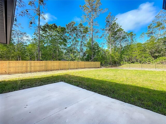 10625 Amos Ave, Hastings, FL 32145 - view of yard with a patio area and a fenced backyard