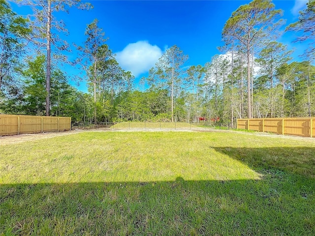 10625 Amos Ave, Hastings, FL 32145 - view of yard featuring fence
