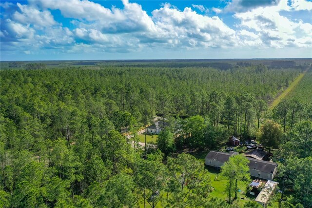10625 Amos Ave, Hastings, FL 32145 - bird's eye view with a wooded view