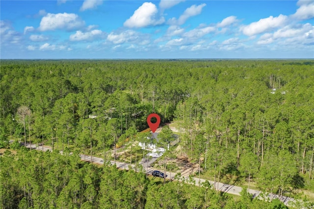 10625 Amos Ave, Hastings, FL 32145 - aerial view with a forest view
