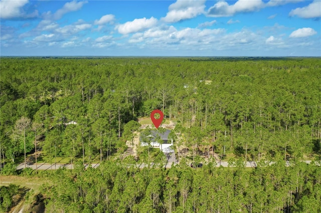 10625 Amos Ave, Hastings, FL 32145 - drone / aerial view with a view of trees