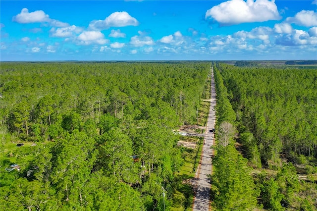 10625 Amos Ave, Hastings, FL 32145 - birds eye view of property featuring a wooded view