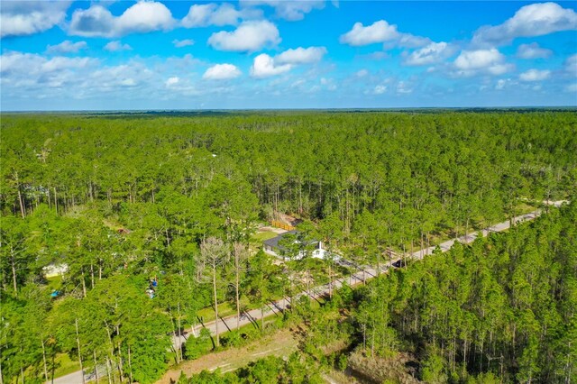 10625 Amos Ave, Hastings, FL 32145 - bird's eye view with a wooded view