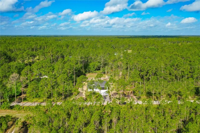 10625 Amos Ave, Hastings, FL 32145 - bird's eye view featuring a forest view