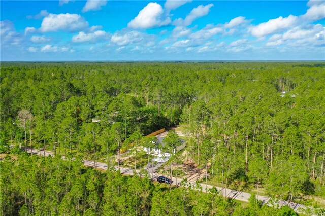10625 Amos Ave, Hastings, FL 32145 - drone / aerial view featuring a view of trees