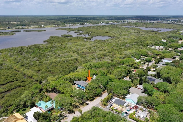 drone / aerial view with a water view and a forest view